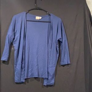 Blue Cardigan